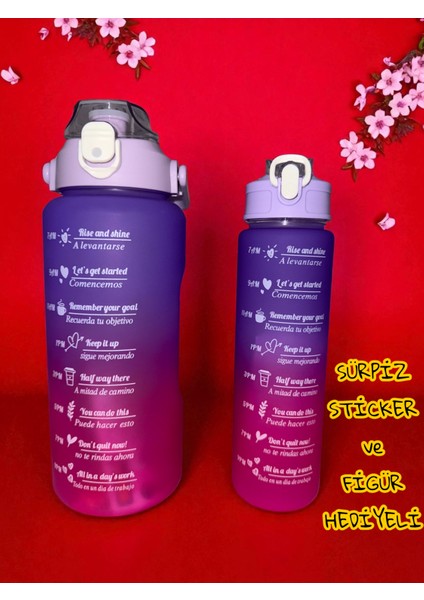 Motivasyon 2li Su Matarası Suluk 2lt 750ML Yavrulu Tritan Spor Su Şişesi Sticker ve Figür Hediyeli