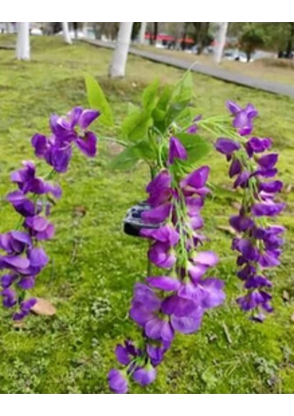 Mor Salkım Çiçek Solar Güneş Enerjili Sarı Işık Bahçe Aydınlatma