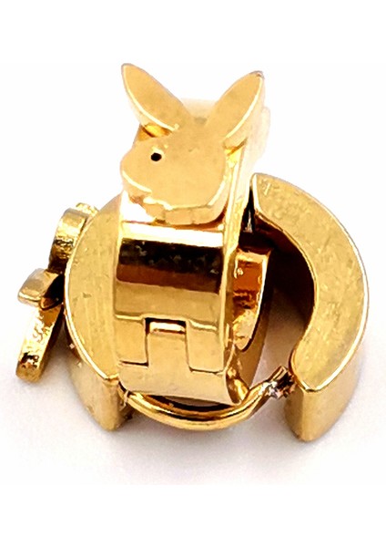 316 L Çelik Gold Renk Unisex Figürlü Küpe