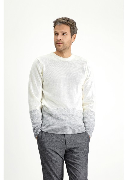 Bisiklet Yaka Regular Fit Desenli Triko Kazak fırsatları