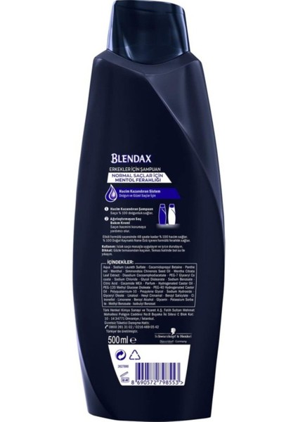 Blendax Erkekler Mentol Ferahlığı Nane Özlü Şampuan, 500 ml fırsatları