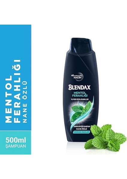 Blendax Erkekler Mentol Ferahlığı Nane Özlü Şampuan, 500 ml indirimleri