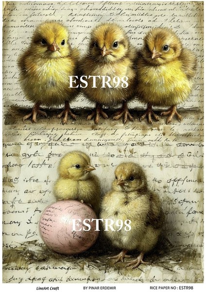 Paskalya Serisi ESTR98 Civciv Desenli 29*42 cm Pirinç Dekopaj