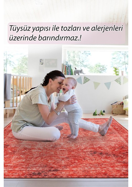 Clifton Modern Kırmızı Polyester Dikdörtgen Modern Desenli Pamuk Makinada Yıkanabilir Hav Toz Vermez Leke Tutmayan Kaymaz Taban Dijital Makine Baskı Salon Yolluk Mutfak Halı modelleri