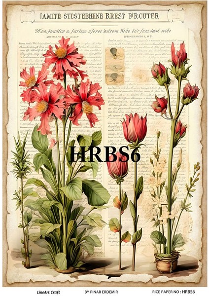 Hrbs6 Vintage Çiçekler 29*42 cm Pirinç Dekopaj