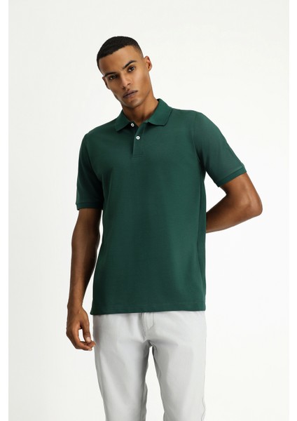 Polo Yaka Regular Fit Nakışlı Pamuk Tişört fiyatları