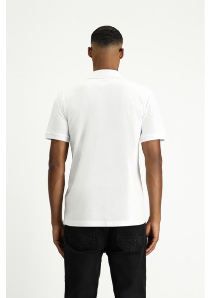 Polo Yaka Regular Fit Nakışlı Pamuk Tişört indirimleri