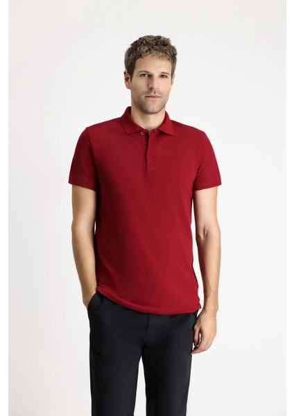 Polo Yaka Regular Fit Nakışlı Pamuklu Tişört modelleri