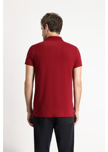 Polo Yaka Regular Fit Nakışlı Pamuklu Tişört indirimleri