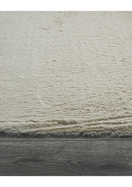 Waynoka Düz Bej Polyester Daire Modern Desenli Akrilik Hav Vermeyen Leke Tutmayan Kolay Temizlenen Yumuşak Makine Salon Yolluk Mutfak Halı fırsatları