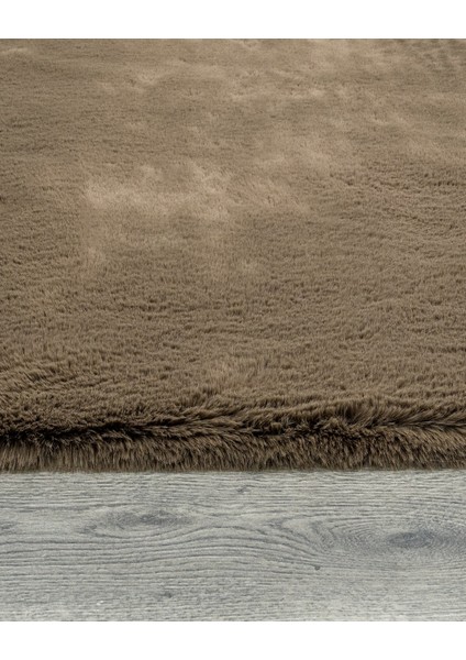 Trudy Düz Kahverengi Polyester Dikdörtgen Modern Desenli Akrilik Hav Vermeyen Leke Tutmayan Kolay Temizlenen Yumuşak Makine Salon Yolluk Mutfak Halı fırsatları