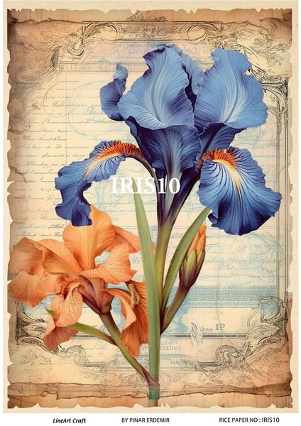 Irıs Serisi IRIS10 Iris, Zambak, Çiçek Desenli 30*42 cm Pirinç Dekopaj