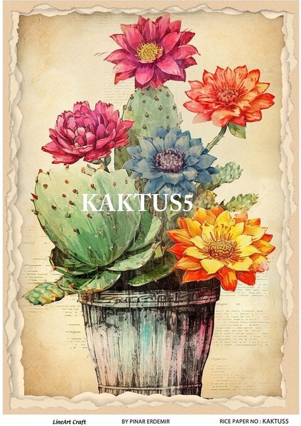 Kaktüs Serisi Kkts5 Yeşil, Kaktüs Desenli 30*42 cm Pirinç Dekopaj