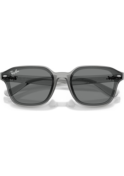 Güneş Gözlüğü RB4458D 65 645087 indirimleri
