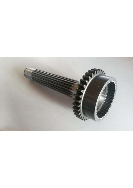 5161817 Prizdirek Mili