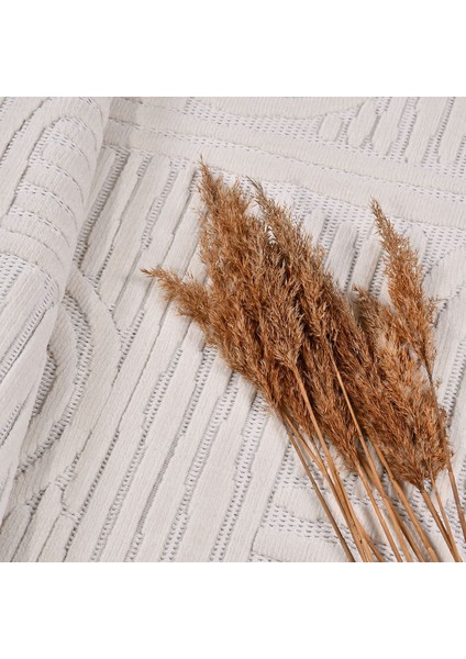 Krem Modern Etnik Desenli Sisal Hav Vermeyen Leke Tutmayan Kolay Temizlenen Yumuşak Makine Salon Yolluk Mutfak Halı fırsatları