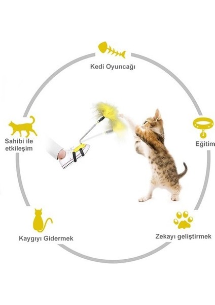 Ayağa Takılan Kedi Oyun Oltası