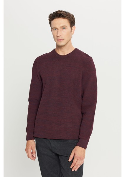 Erkek Bordo-lacivert Standart Fit Normal Kesim Bisiklet Yaka Desenli Triko Kazak