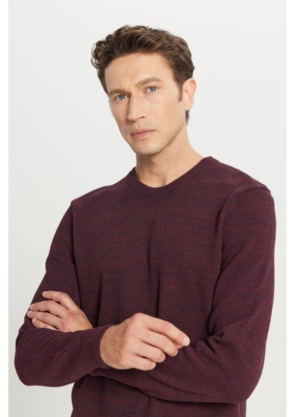 Erkek Bordo-lacivert Standart Fit Normal Kesim Bisiklet Yaka Desenli Triko Kazak fırsatları