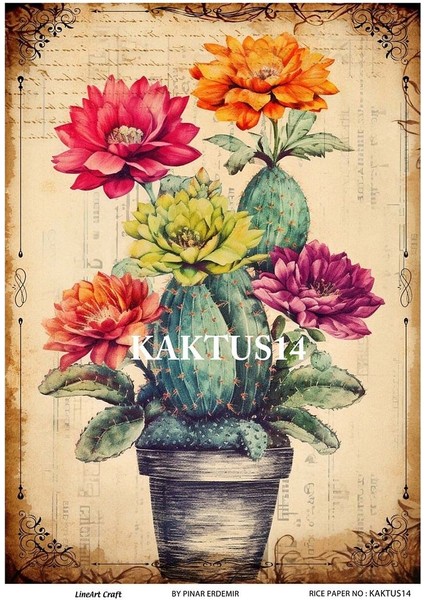 Kaktüs Serisi KKTS14 Kaktüs Desenli Pirinç Dekopaj 30X42
