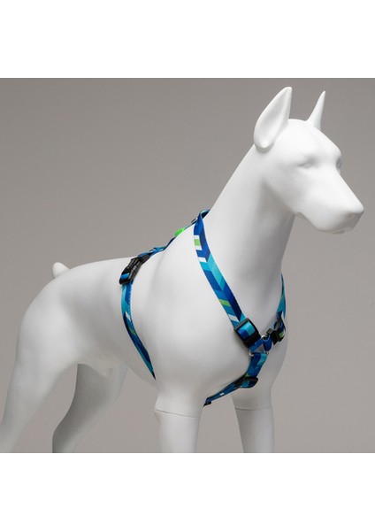 Blue Dream H Tipi Göğüs Tasması modelleri