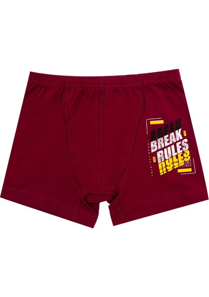 Erkek Çocuk Boxer 3'lü Baskılı (%96 Pamuk - %4 Elastan) fırsatları
