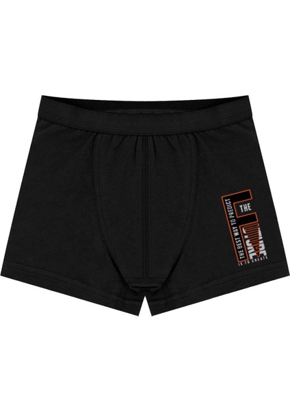 Erkek Çocuk Boxer 3'lü Baskılı (%96 Pamuk - %4 Elastan) fiyatları