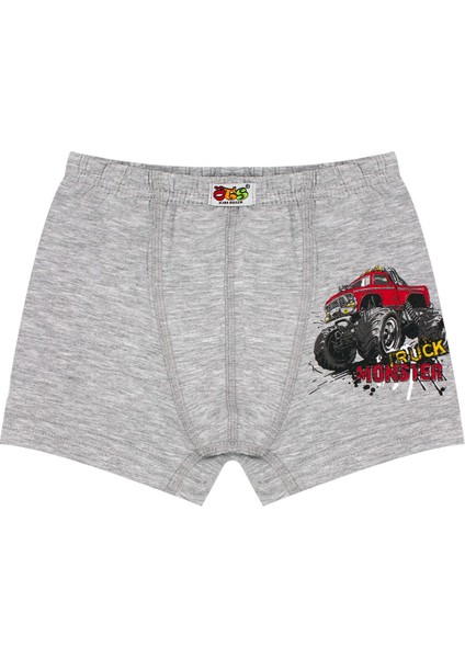 Erkek Çocuk Boxer 3'lü Baskılı (%96 Pamuk - %4 Elastan) modelleri