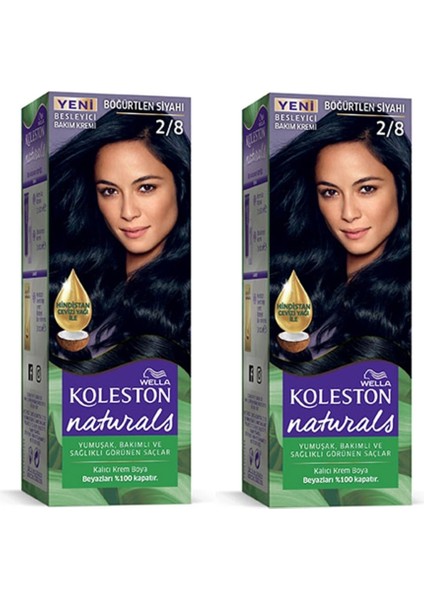 Naturals Saç Boyası Böğürtlen Siyahı 2/8 2x Paket