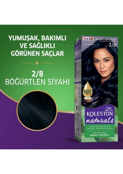 Naturals Saç Boyası Böğürtlen Siyahı 2/8 2x Paket fiyatları