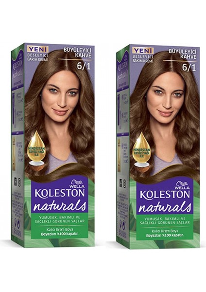 Naturals Saç Boyası Büyüleyici Kahve 6/1 2x Paket
