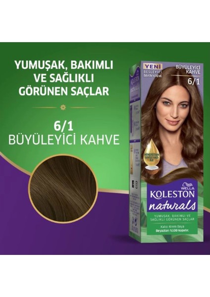 Naturals Saç Boyası Büyüleyici Kahve 6/1 2x Paket fiyatları