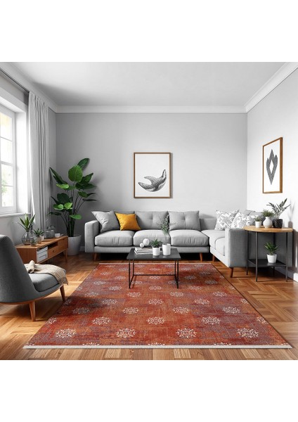 Geometrik Kırmızı Pamuk Dikdörtgen Modern Desenli Pamuk Makinada Yıkanabilir Hav Toz Vermez Leke Tutmayan Kaymaz Taban Dijital Makine Baskı Salon Yolluk Mutfak Halı fiyatları