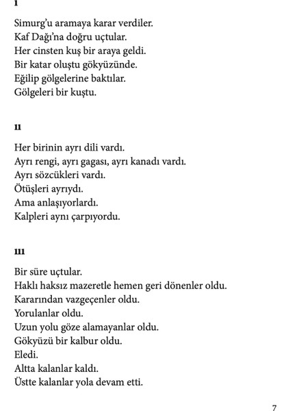 Otuz Kuş - Mehmet Aycı modelleri