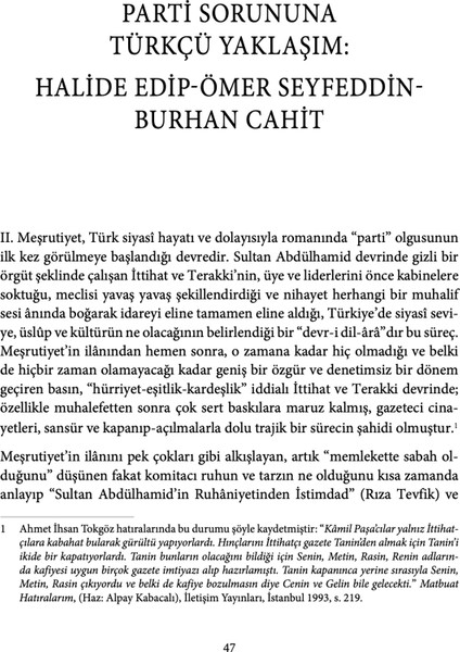 Siyaset ve Roman - Mehmet Samsakçı