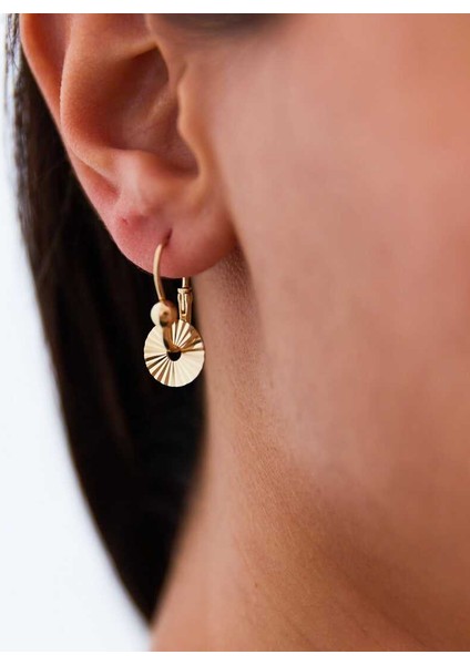 Pullu Göçmen Küpesi