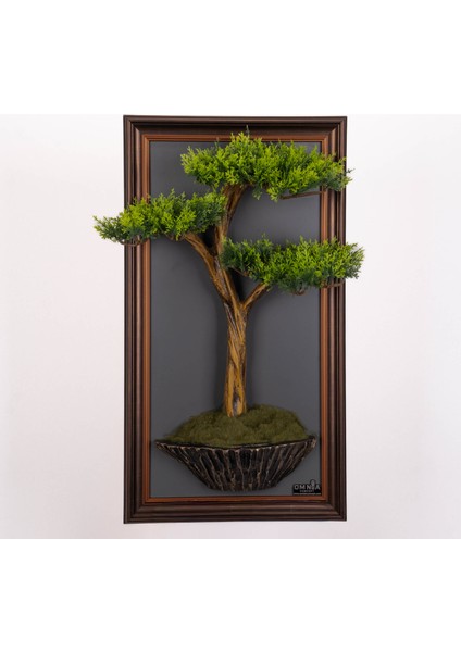Bonsai Tableau-1B