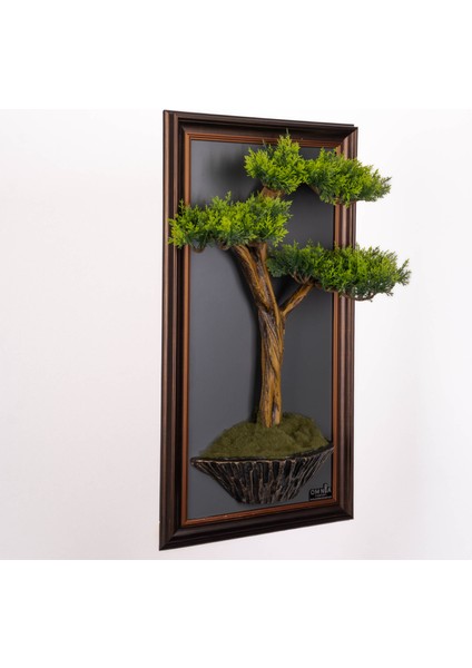 Bonsai Tableau-1B fiyatları