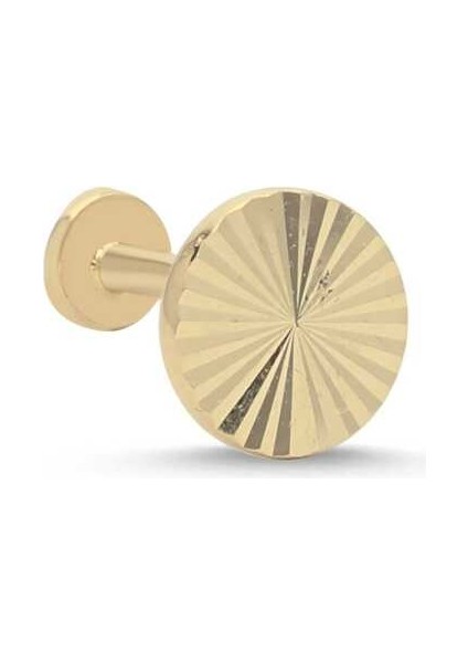 Oval Tragus Piercing