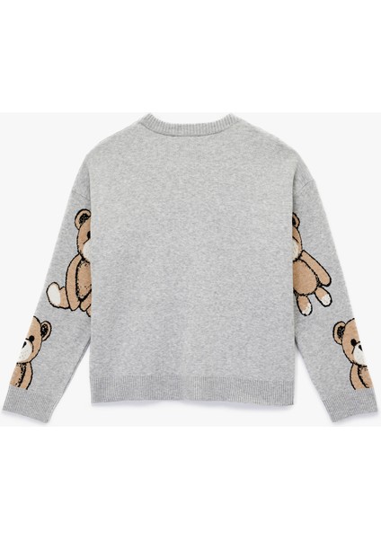 Uzun Kollu Bisiklet Yaka Ayıcık Desenli Triko Kazak fiyatları