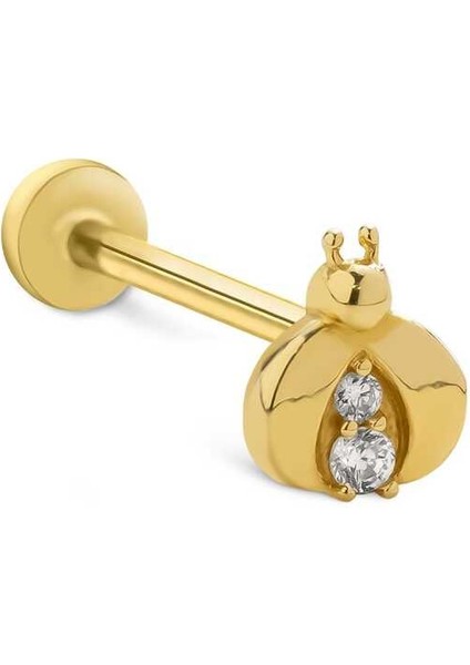 Uğur Böceği Tragus Piercing