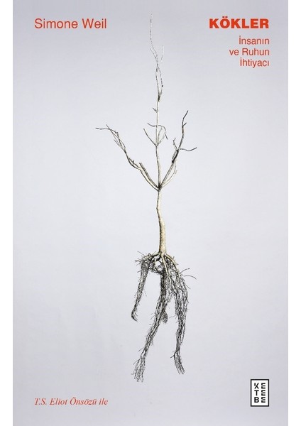 Kökler - Simone Weil