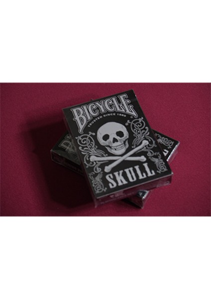 Skull Metallic Silver Oyun Kartları