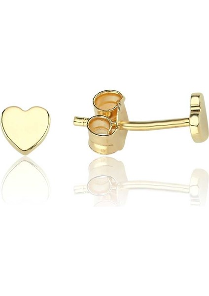 Mini Kalp Çocuk Küpesi