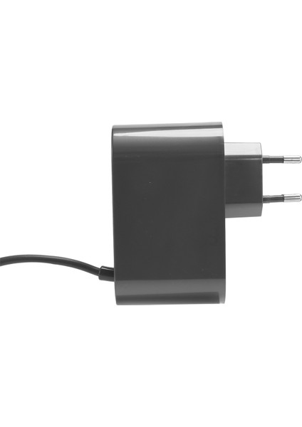 Dyson DC30 DC31 DC34 DC35 DC44-EU Fiş Için Güç Adaptörü Şarj Cihazı (Yurt Dışından) fırsatları