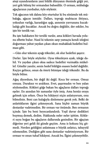 Ölü Piksele Ağıt - Arda Arel