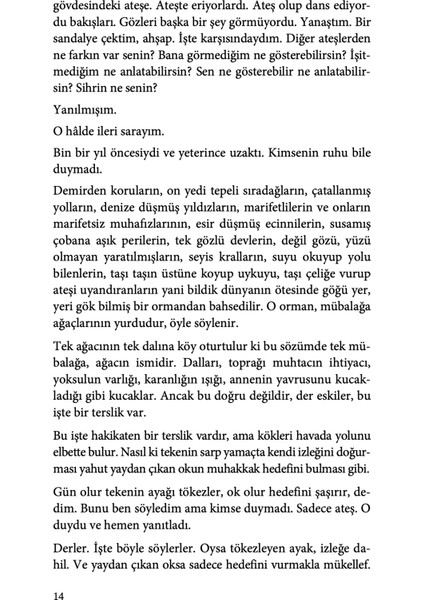 Ölü Piksele Ağıt - Arda Arel