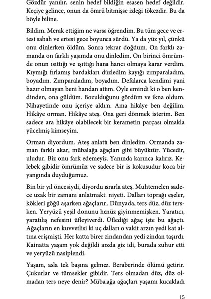 Ölü Piksele Ağıt - Arda Arel