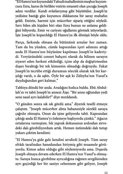 Muhayyer (Ciltli) - Mahmut Sami Yıldız
