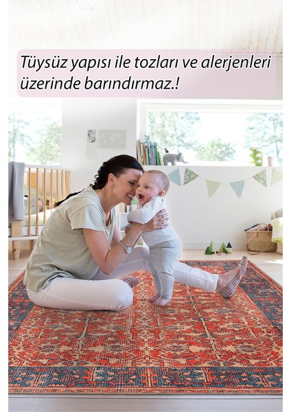 Boulders Modern Kırmızı Polyester Dikdörtgen Modern Desenli Pamuk Makinada Yıkanabilir Hav Toz Vermez Leke Tutmayan Kaymaz Taban Dijital Makine Baskı Salon Yolluk Mutfak Halı modelleri